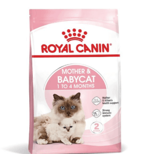Royal Canin Moeder en Kitten- droogvoer