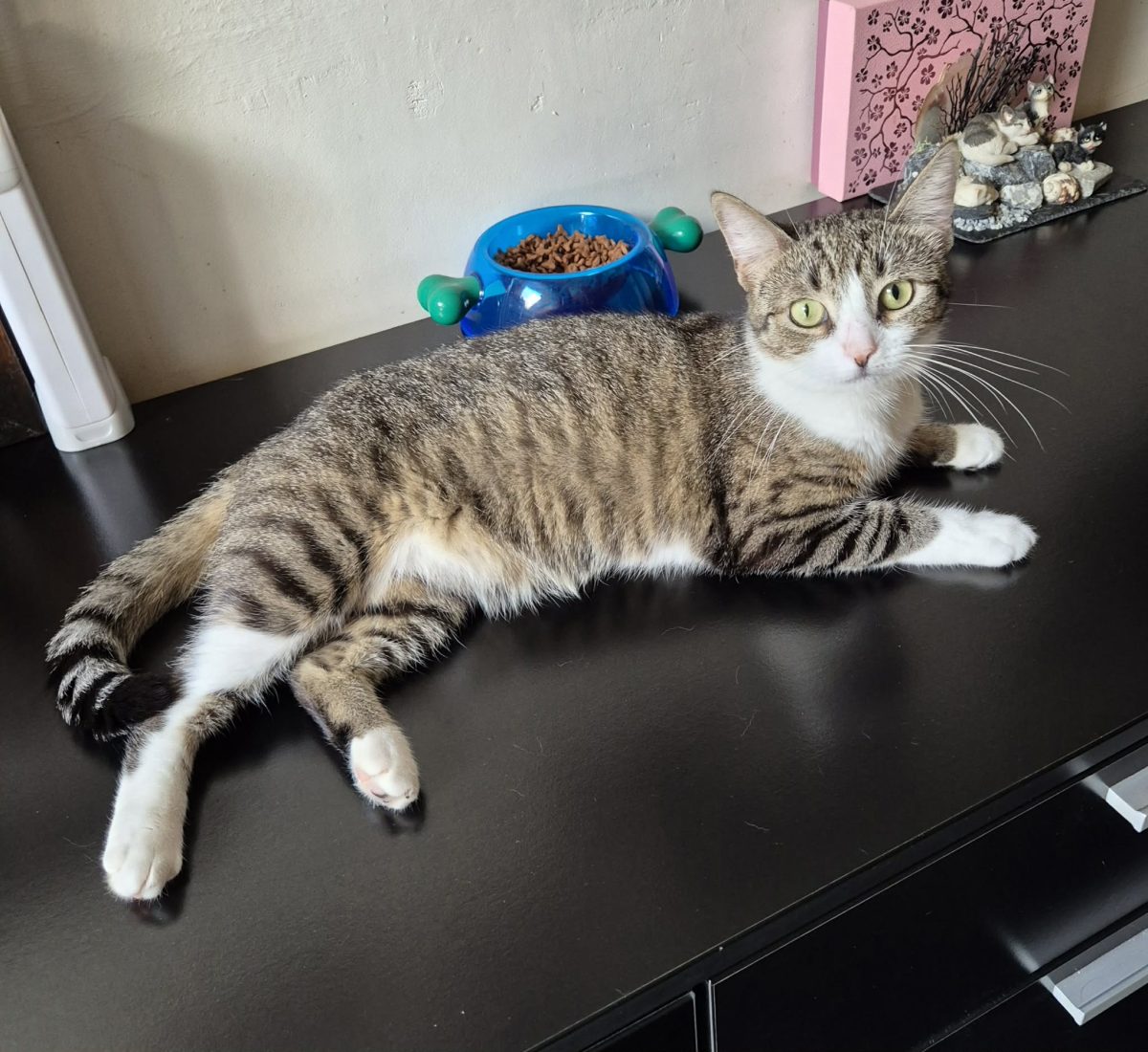 Picture of Deedee